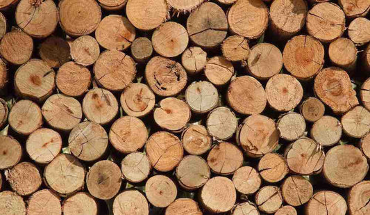 Quel bois choisir pour bricoler ou fabriquer un meuble ?