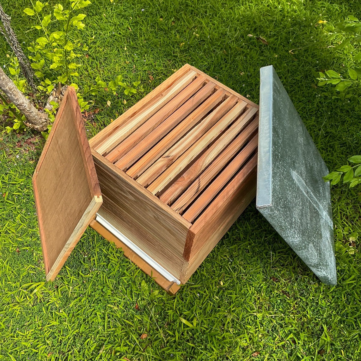 Ruche bourbon bois de pin
