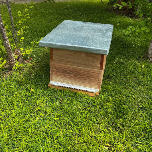 Ruche bourbon bois de pin